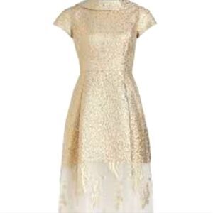 Teri John by Rickie Freeman formal dress